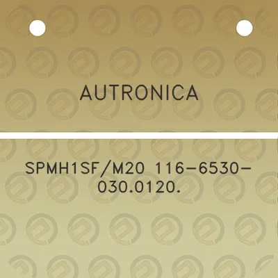 autronica-spmh1sfm20-116-6530-0300120