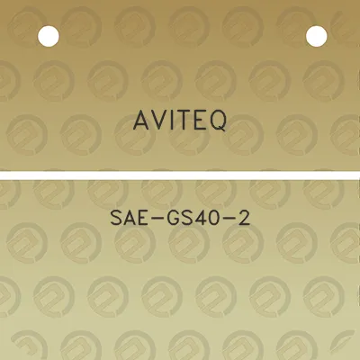 aviteq-sae-gs40-2