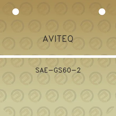 aviteq-sae-gs60-2