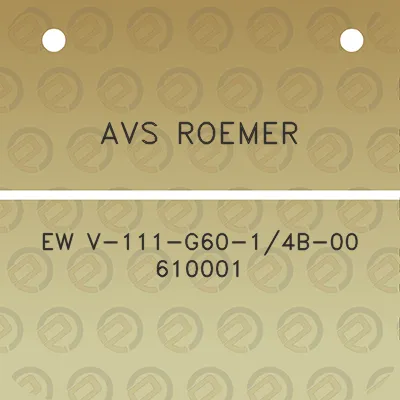 avs-roemer-ew-v-111-g60-14b-00-610001