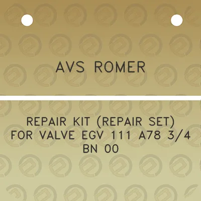 avs-romer-repair-kit-repair-set-for-valve-egv-111-a78-34-bn-00