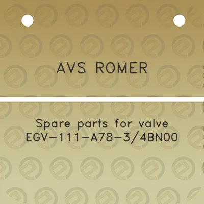 avs-romer-spare-parts-for-valve-egv-111-a78-34bn00