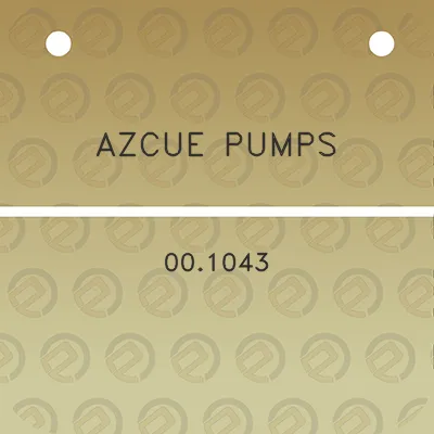 azcue-pumps-001043