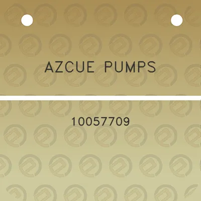 azcue-pumps-10057709