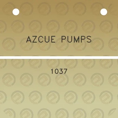 azcue-pumps-1037