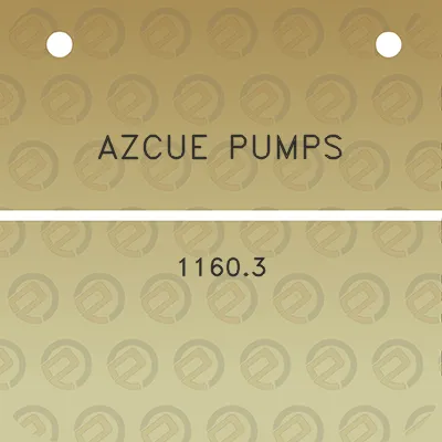 azcue-pumps-11603