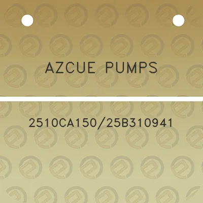 azcue-pumps-2510ca15025b310941