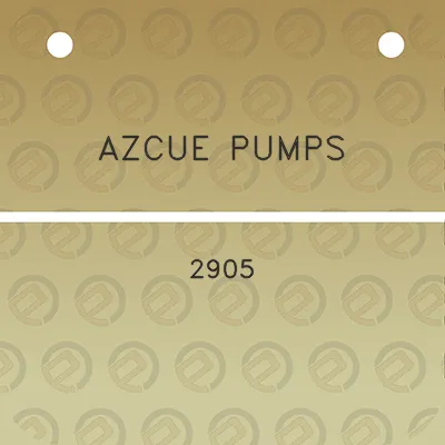 azcue-pumps-2905