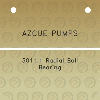 azcue-pumps-30111-radial-ball-bearing