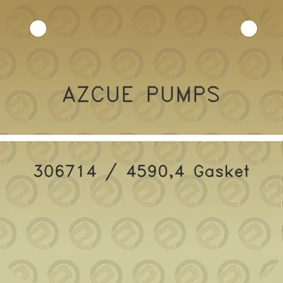 azcue-pumps-306714-45904-gasket