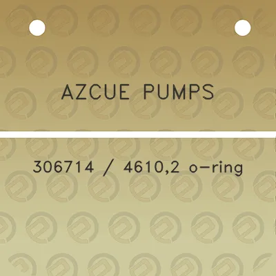 azcue-pumps-306714-46102-o-ring