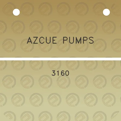 azcue-pumps-3160