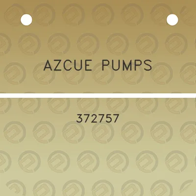 azcue-pumps-372757