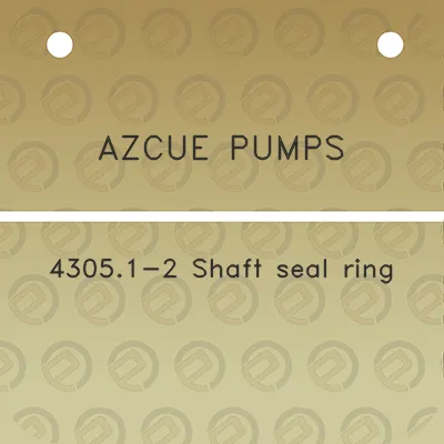 azcue-pumps-43051-2-shaft-seal-ring