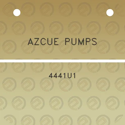 azcue-pumps-4441u1