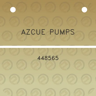 azcue-pumps-448565