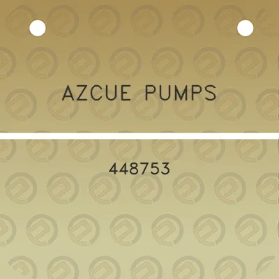 azcue-pumps-448753