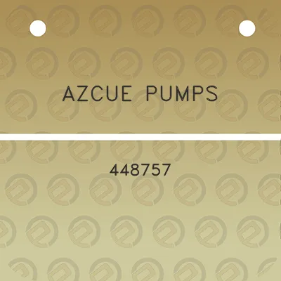 azcue-pumps-448757