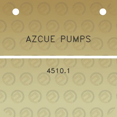 azcue-pumps-45101