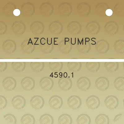 azcue-pumps-45901