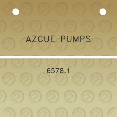 azcue-pumps-65781