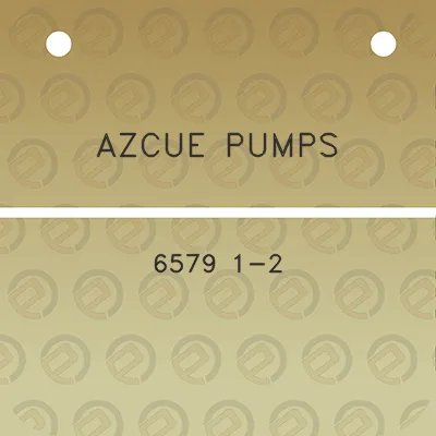 azcue-pumps-6579-1-2