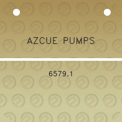 azcue-pumps-65791