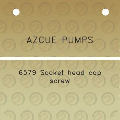 azcue-pumps-6579-socket-head-cap-screw