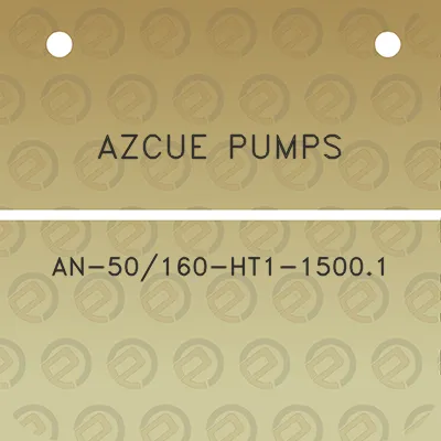 azcue-pumps-an-50160-ht1-15001