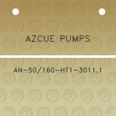 azcue-pumps-an-50160-ht1-30111