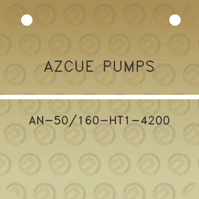 azcue-pumps-an-50160-ht1-4200