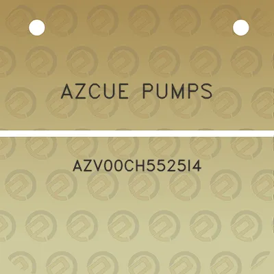 azcue-pumps-azv00ch5525i4