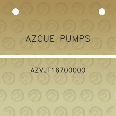 azcue-pumps-azvjt16700000