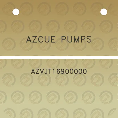 azcue-pumps-azvjt16900000