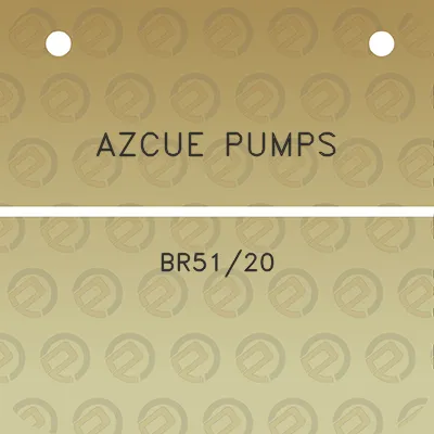 azcue-pumps-br5120