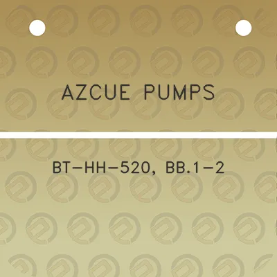 azcue-pumps-bt-hh-520-bb1-2