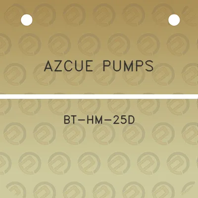 azcue-pumps-bt-hm-25d