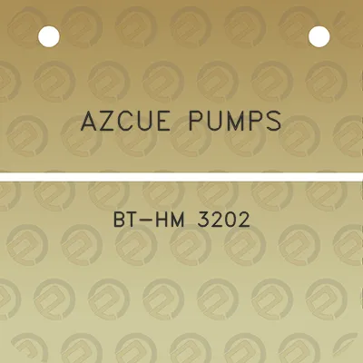 azcue-pumps-bt-hm-3202