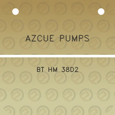 azcue-pumps-bt-hm-38d2