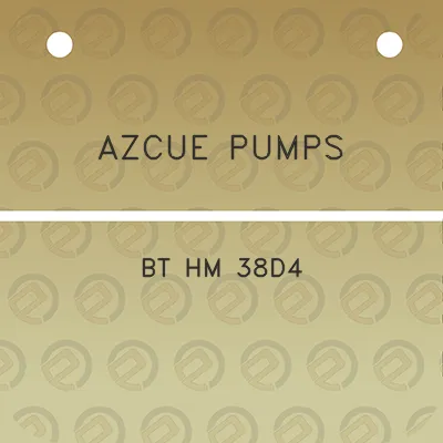 azcue-pumps-bt-hm-38d4