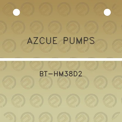 azcue-pumps-bt-hm38d2