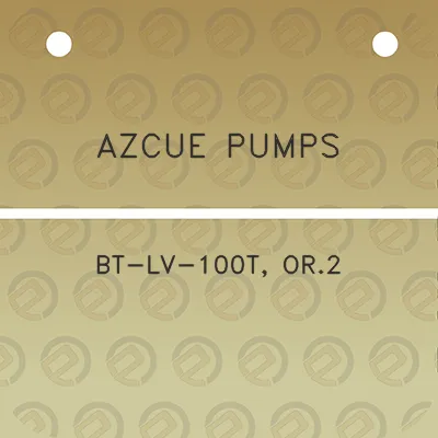 azcue-pumps-bt-lv-100t-or2