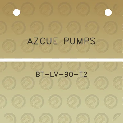 azcue-pumps-bt-lv-90-t2