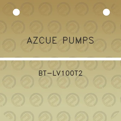 azcue-pumps-bt-lv100t2