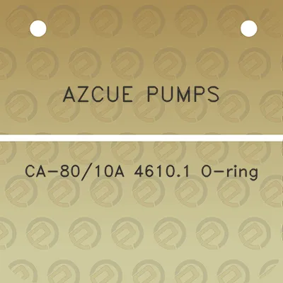 azcue-pumps-ca-8010a-46101-o-ring