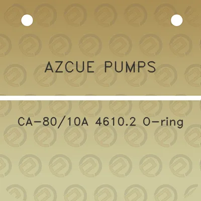 azcue-pumps-ca-8010a-46102-o-ring