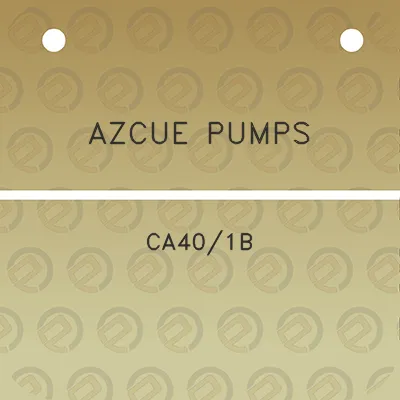 azcue-pumps-ca401b