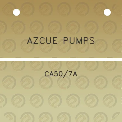 azcue-pumps-ca507a