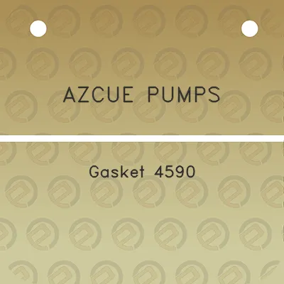 azcue-pumps-gasket-4590