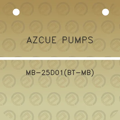 azcue-pumps-mb-25d01bt-mb